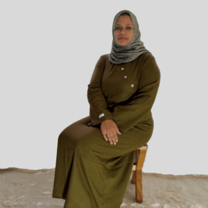 olive collection sitting